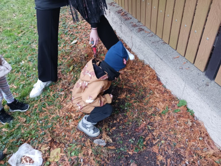 Společné sázení darovaných krokusů od našeho města :-).